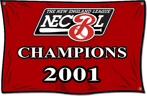 Champions 2001